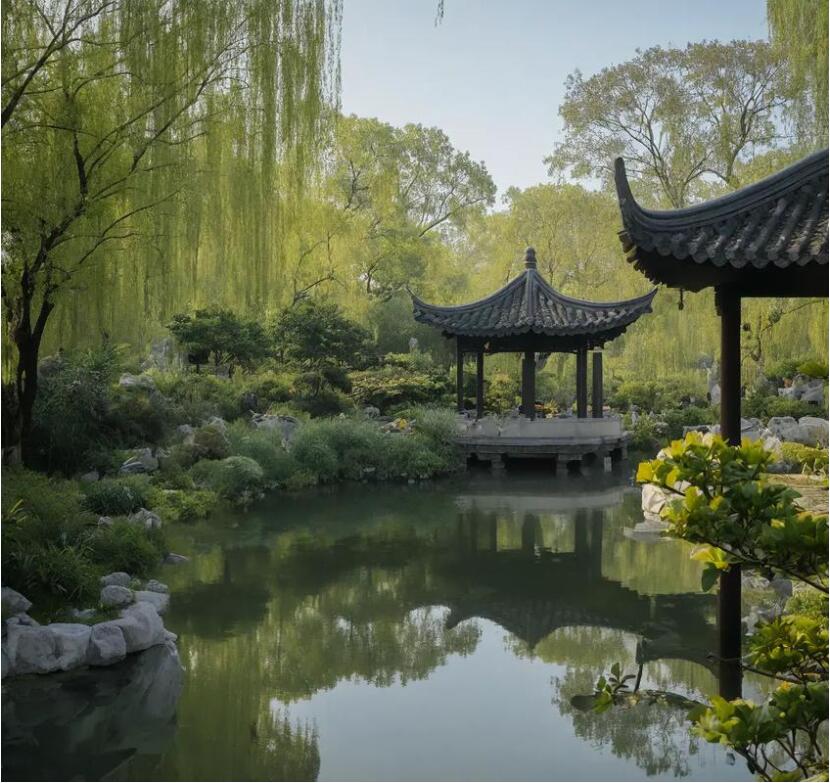 武穴雨双餐饮有限公司